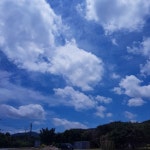 줌줌 후기: [찜카] 제주 렌트카 찜카 할인권 10프로 할인 (즉시발급, 중복사용) - So*** 줌줌 후기:  [찜카] 제주 렌트카 찜카 할인권 10프로 할인... 