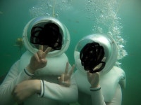 [서귀포시] 제주 하모해양레저 - 예* - 줌줌투어 [서귀포시] 제주 하모해양레저 -  예* - 줌줌투어