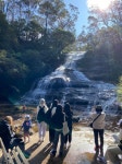 놀러와 투어(玩樂玩旅行社) | [*리얼*오픈런] 여유로운 90분 페더데일과 프리미엄 블루마운틴 감성여행 [놀러와 시드니] - 김 ** - 줌줌투어