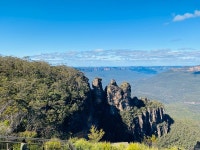 줌줌 후기: *신규혜택추가* 유칼립투스의 천국, 블루마운틴... 유칼립투스의 천국, 블루마운틴 + 페더데일 야생 동물원 투어 (1DAY) - 박찬*