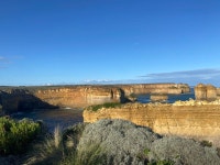 줌줌 후기: ((+Secret포인트))그레이트오션+GOW전망대/단독+야생코알라군락지 - 지* 줌줌 후기:  ((+Secret포인트))그레이트오션+GOW전망대... 