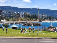 줌줌 후기: [단독투어 최다후기] 울릉공/키야마/내셔널파크 - 시크릿 코스 + 맛집 탐방, 카시트 제공 - 정상* 줌줌 후기:  [단독투어 최다후기] 울릉공... 