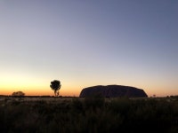 [영어가이드] 울룰루 캠핑 투어 2박 3일 - 앨리스스프링스 출/도착 - 김 ** - 줌줌투어 [영어가이드] 울룰루 캠핑 투어 2박 3일 - 앨리스스프링스 출... 