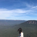 [독점혜택] 보법이 다른 오픈런, 블루마운틴+페더데일 동물원 오전출발 투어 - 이 ** - 줌줌투어