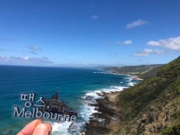 *그레이트오션*((깁슨스텝&그루또,모두방문))최장자유시간 - 강 ** - 줌줌투어