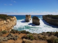 여행후기,JI Yoon Park-[땡스투어/최신버스는기본/여행토퍼증정] 그레이트오션로드+퍼핑,사사프라스+노비스,펭귄퍼레이드