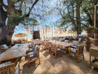 악어 농장 & 케이브 비치 클럽 반일 단독 투어 :: 줌줌투어 - 태국 - 파타야