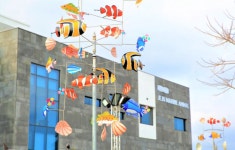 제주 해양동물박물관 입장권 :: 줌줌투어 - 한국 - 제주도