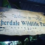 VIP 투어 ][ 페더데일 야생 동물공원 코스 ][ ONE BY ONE 상품 :: 줌줌투어 - 호주 - 시드니