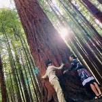 [스티봉여행] 뉴질랜드 북섬 핵심투어 (1인투어 가능) :: 줌줌투어 - 뉴질랜드 - 오클랜드