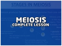 Helena6960s Shop - Teaching Resources - TES Helena6960s Shop - TES