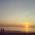 Giada Panicali (@Giadapanicali) — 2356 answers, 8048 likes | ASKfm Giada Panicali (@Giadapanicali). Ask me anything on ASKfm