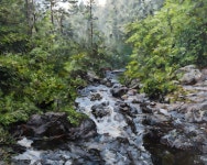 AI Generated Creek Photos and Artwork | Deep Dream Generator