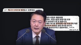 도리도리 부동시 때문이라 말한것도 명태균 작품임 - 더불어민주당 마이너 갤러리
