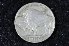 Estate Find 1937 - Buffalo Nickel!! #H9450