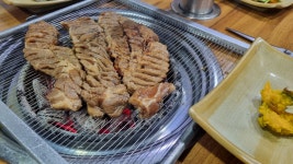 플레이아쿠아리움부천 | 관광정보 | 여행정보 | 경기관광플랫폼