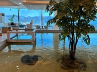 호명호수공원 | 관광지 | 여행정보 | 경기관광플랫폼