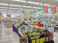 株式会社ホームセンターアグロ　 アグロガーデン　砥堀店のアルバイト・バイト求人情報｜【タウンワーク】でバイトやパートのお仕事探し... 
