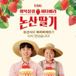 논산 비타베리 딸기 | 파리바게뜨