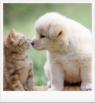 채널 신청 - 오늘학교 커뮤니티