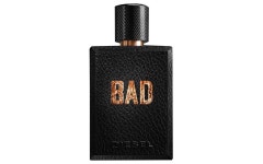 Festive fragrances for you - Gay Times