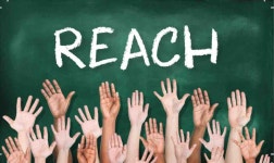 Fundraiser by Tara Couldstinglikeabee McKenzie : REACH Donate to REACH, organized by Tara Couldstinglikeabee McKenzie