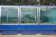 Fundraiser by Tom Kapitany : Save Rosie the Shark Donate to Save Rosie the Shark, organized by Tom Kapitany