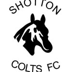 Fundraiser by Chris Iley : Lliam Cockerill Parachute jump for Shotton Colts Donate to Lliam Cockerill Parachute jump for Shotton... 
