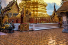 Fundraiser by Jesse DeLaCruz Jr. : Tanner Tours Thailand Donate to Tanner Tours Thailand, organized by Jesse DeLaCruz Jr.