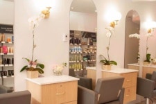 Fundraiser by Emily Safran : LAHH Salon Donate to LAHH Salon, organized by Emily Safran