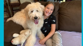 Fundraiser by Danielle Barfield : Service Dog for Kendall Donate to Service Dog for Kendall, organized by Danielle Barfield