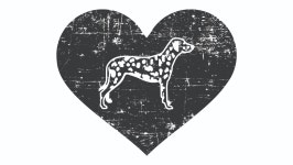 Fundraiser by Ashleigh Vogl : M3 Bonusly Donations Donate to M3 Bonusly Donations, organized by Ashleigh Vogl