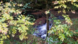 Fundraiser by Pamela Anderson : I Need Help To Pay These Bills That Keep Piling Up Donate to I Need Help To Pay These Bills That... 