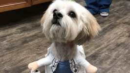 Fundraiser by Ashley Virgilio : Equip the soon-to-be Accessible Veterinary Care in Pace, FL Donate to Equip the soon-to-be... 