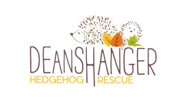 Fundraiser by Rachel Matthews : Full-time Hedgehog Care Donate to Full-time Hedgehog Care, organized by Rachel Matthews