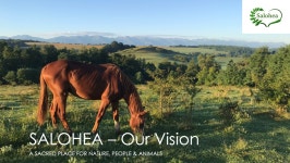 Fundraiser by Petra Pfeifer : SALOHEA - Sanctuary of Love & Healing - Our Vision Donate to SALOHEA - Sanctuary of Love & Healing... 