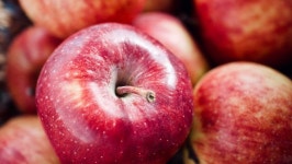 Fundraiser by Julia Wunderlich : Gemeinsame Obstpause für die Kinder der Grundschule Brake Donate to Gemeinsame Obstpause für... 