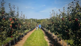 Fundraiser for Amanda Cadieux by Valerie Laird : Cadieux Family Donate to Cadieux Family, organized by Valerie Laird