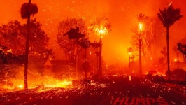 Fundraiser by Araceli Rendon : Support Aracelis Effort for LA Fire Relief Donate to Support Aracelis Effort for LA Fire Relief... 