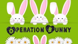 Fundraiser by Leah Yarman : Help Aria Bring Joy to Hospitalized Kids this Easter Donate to Help Aria Bring Joy to Hospitalized... 