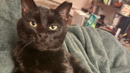 Fundraiser by Alexa Richardson : Help Support Cora’s medical needs, Anything will help❤️ Donate to Help Support Cora’s... 