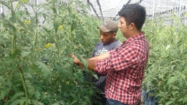 Fundraiser for Henry Mills by Wilber Aragon : Help Us Build a Sustainable Farming Future in El Salvador Donate to Help Us Build a... 