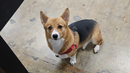 Fundraiser by Richard Lemay : Support Billys $5,000 Recovery Journey Donate to Support Billys $5,000 Recovery Journey... 