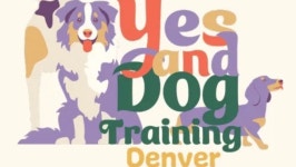 Fundraiser by Leah Vandenberg : Help Leah Get a Life-Changing Service Dog Donate to Help Leah Get a Life-Changing Service Dog... 