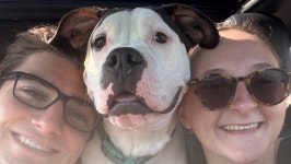 Fundraiser by Courtney Valmore : Help Waffles Get Life-Changing Surgery Donate to Help Waffles Get Life-Changing Surgery... 