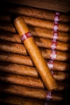 Close up of cigars in open humidor box | Stock image | Colourbox