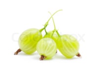 Green gooseberry fruit on white | Stock image | Colourbox