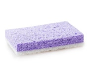 Sponge Isolated on white background | Stock image | Colourbox