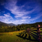 Landscape with colorful forest at ... | Stock image | Colourbox