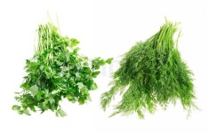 Assorted bunch of dill and parsley on ... | Stock image | Colourbox